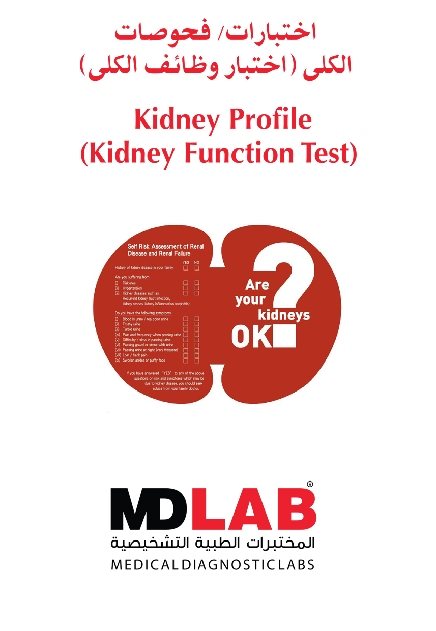 Kidney Profile  Kidney Function Test